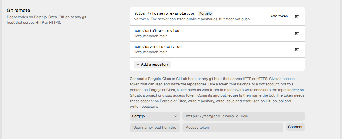 The Git remote settings, with one Forgejo host that has no token, its two
repositories and the connect form