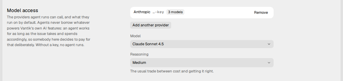 The Model access section, with one provider key and the defaults of a
run